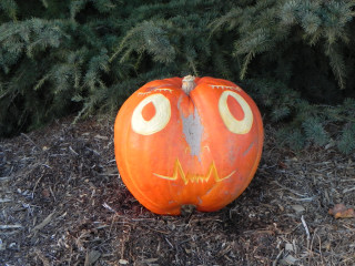 Simple, Nipomo Pumpkin Patch best carving idea
